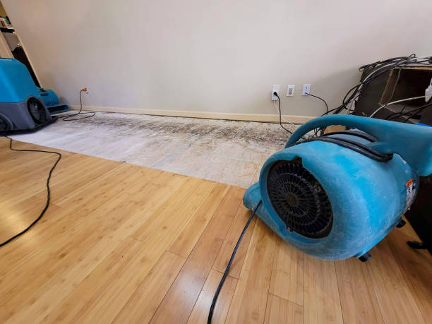 Professional Flood Damage Cleanup technician working in Paradise, CA